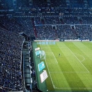 世体聚焦，新星阿尔马达成欧洲转会市场焦点，本菲卡加入争夺战